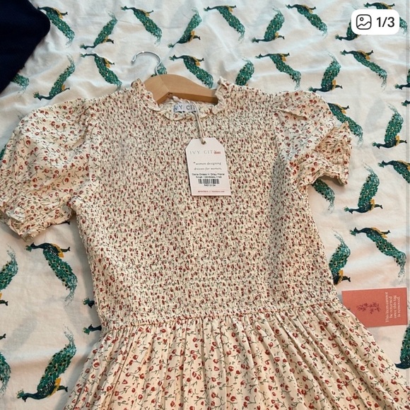 Ivy City Co Dresses & Skirts - Ivy City Co Delia Dress